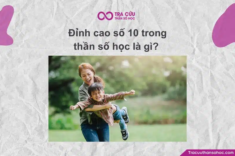 Đỉnh cao số 10 là gì? Đặc điểm và ý nghĩa ở từng giai đoạn trong biểu đồ kim tự tháp