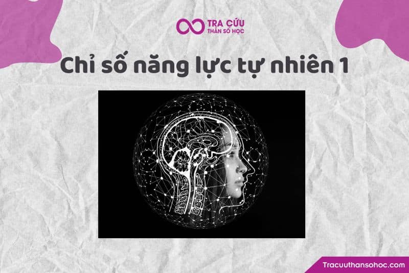 Chỉ số năng lực tự nhiên