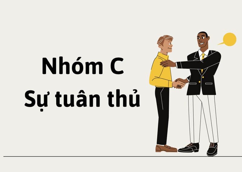 Nhóm C (Conscientiousness) - nhóm tuân thủ