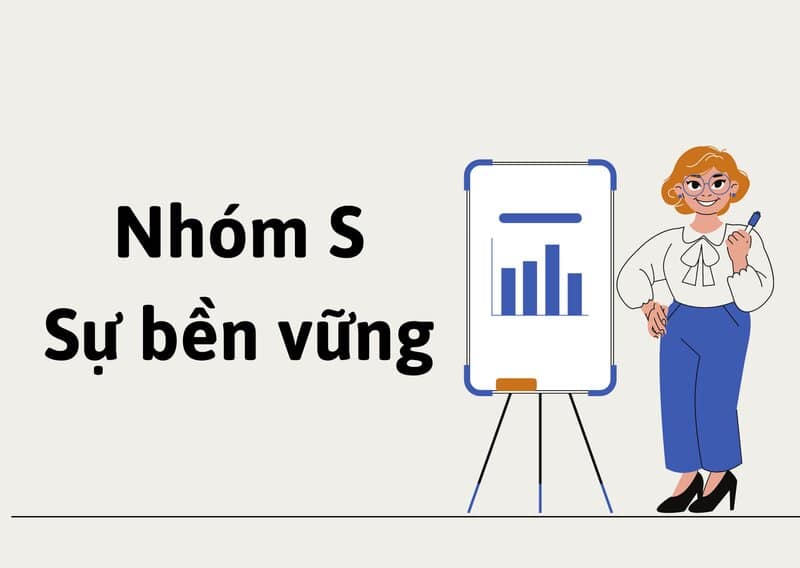 Nhóm S (Steadiness) - nhóm ổn định